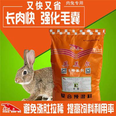 幼兔养殖技术如何饲养肉兔幼兔养殖技术